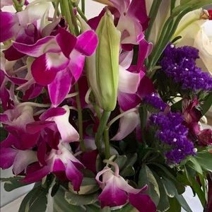 Meet your Posher, Maria